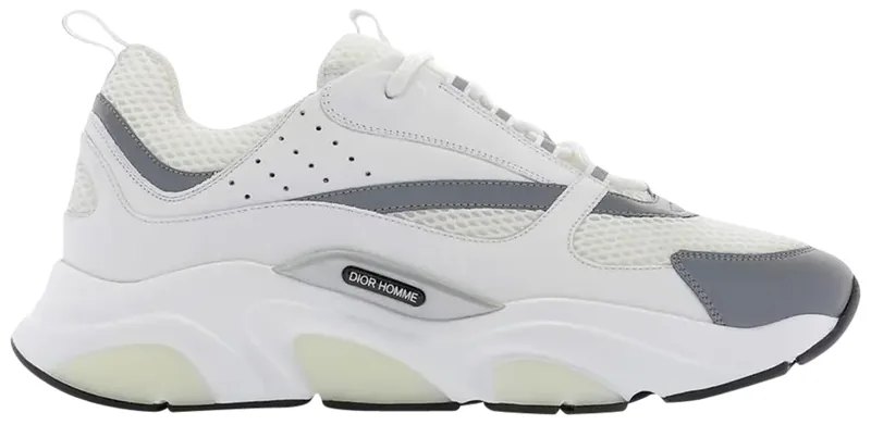 Dior B22 White Grey