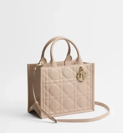 Sac Dior Book Tote Small