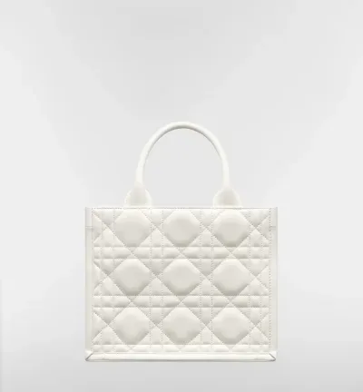 Sac Dior Book Tote Small
