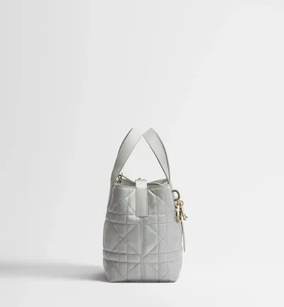 Sac cabas vertical Dior Toujours Small