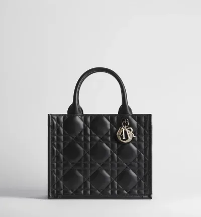 Sac Dior Book Tote Small