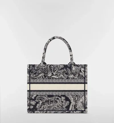 Sac Dior Book Tote Small