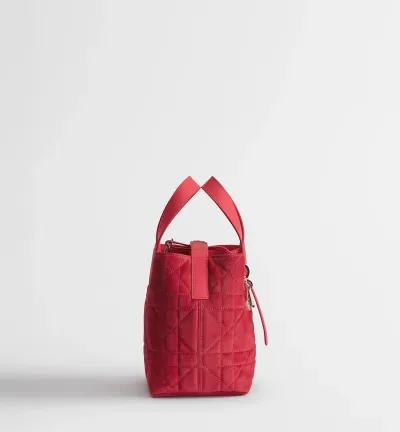 Sac cabas vertical Dior Toujours Small