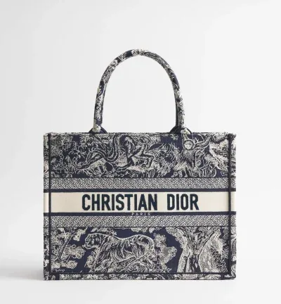 Sac Dior Book Tote Medium