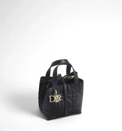 Sac cabas vertical Dior Toujours Small