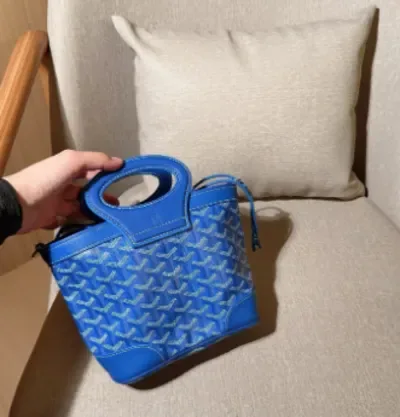 Sac à main Goyard mini