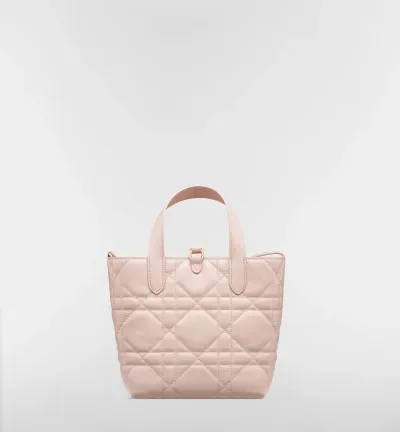 Sac cabas vertical Dior Toujours Small