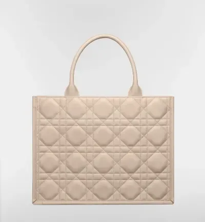 Sac Dior Book Tote Medium