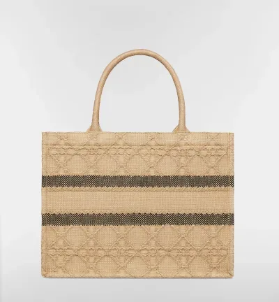 Sac Dior Book Tote Medium