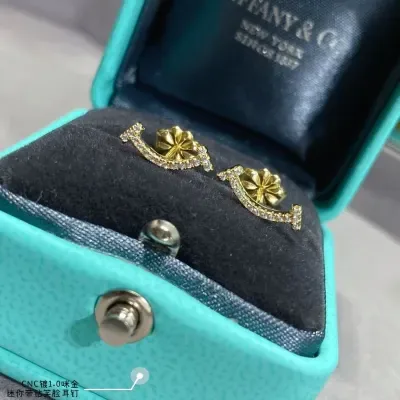 Boucles d'oreilles en diamant Tiffany